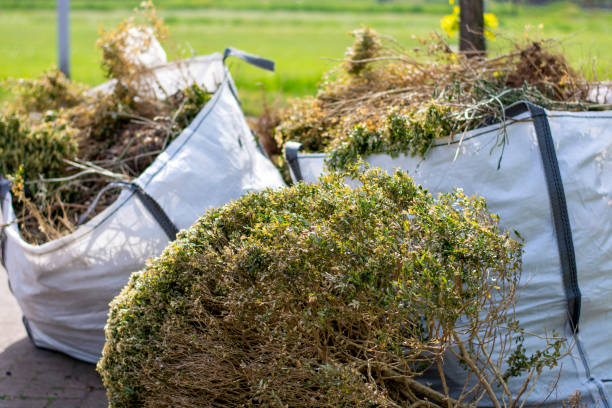 Best Dumpster Rental Services  in Bloomer, WI